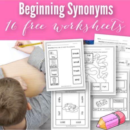 homophone worksheets free word work