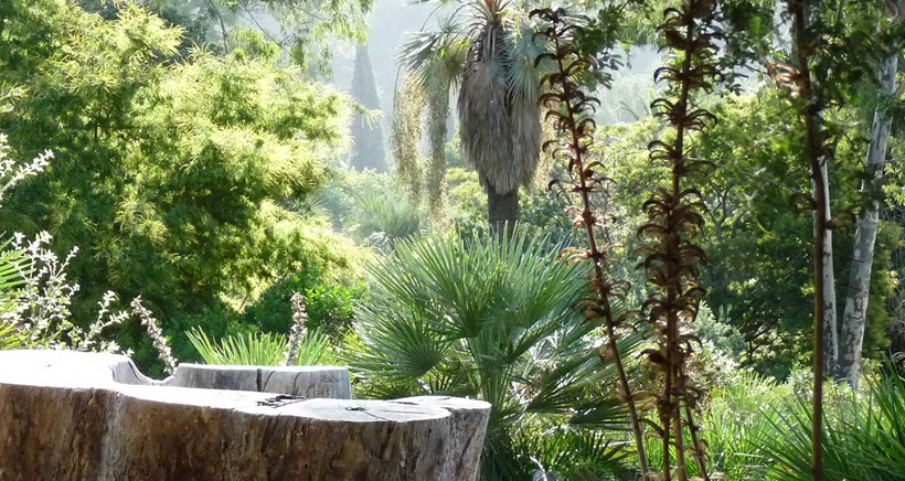 Les Jardins Du Rayol Canadel La Maison De Nathalie