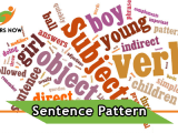 Sentence Pattern English Questions And Answers Quiz Online Test