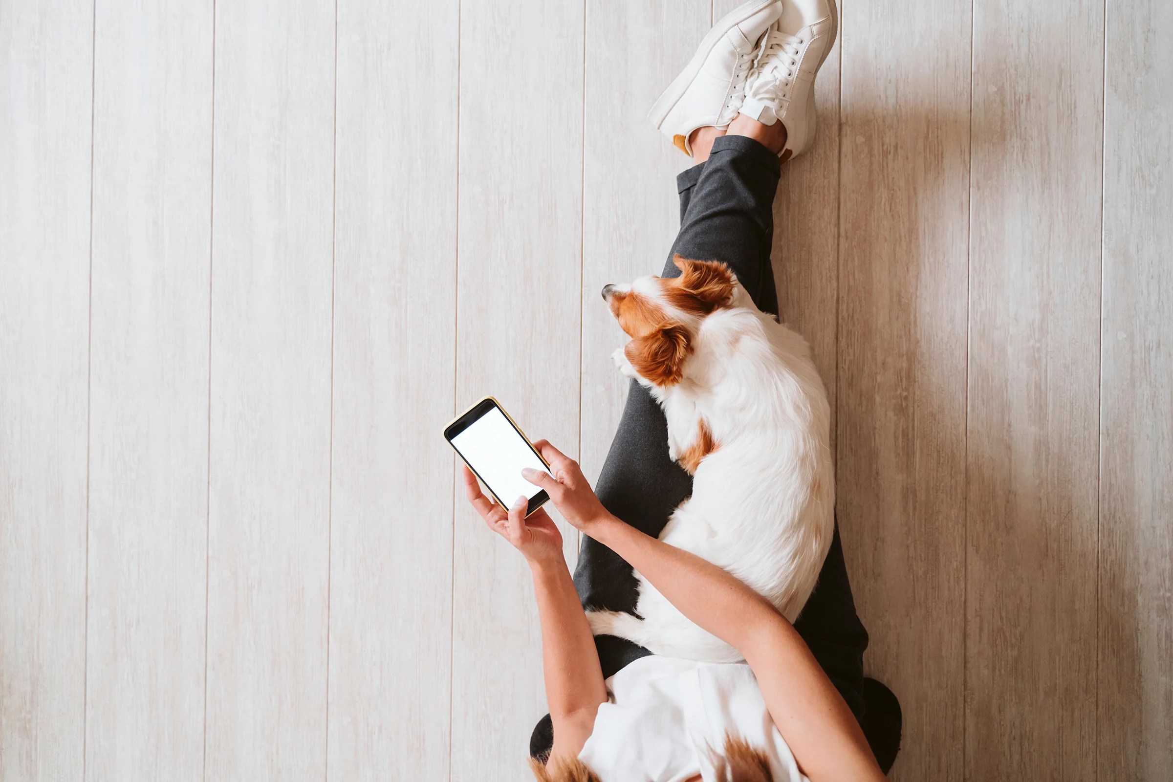 Best apps for puppy parents