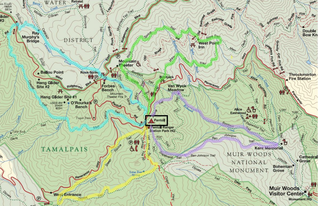 Hiking Friends Of Mt Tam 