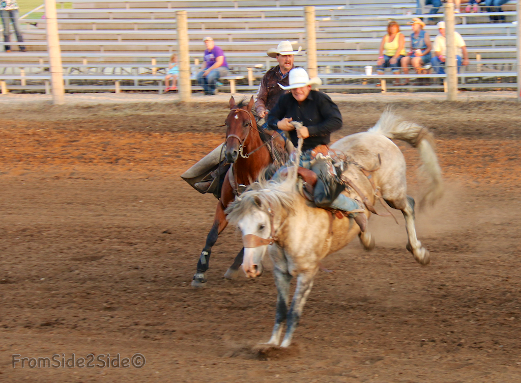 Assister à son premier rodéo- FromSide2Side