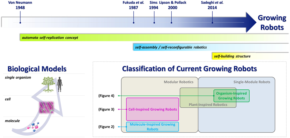 Frontiers Toward Growing Robots A Historical Evolution