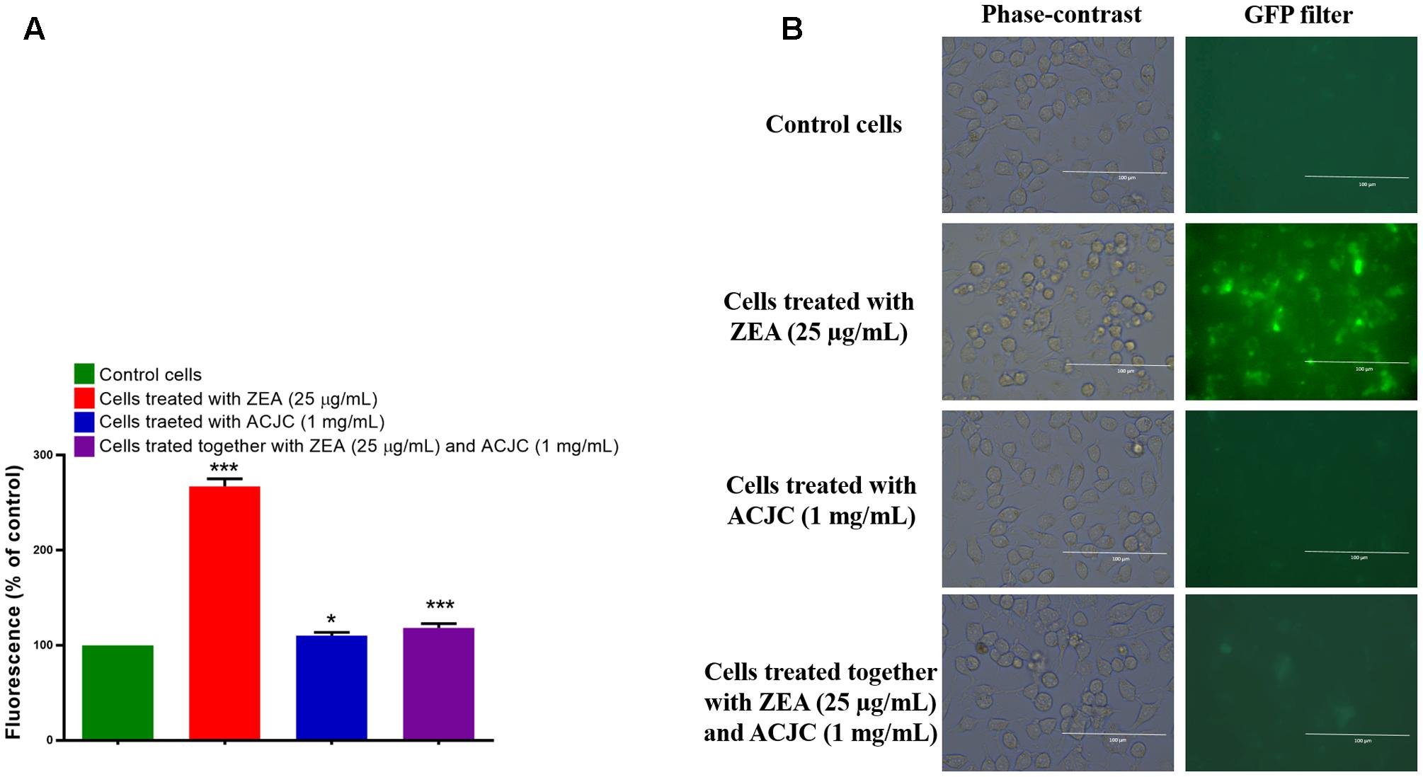 Frontiers Application Of Activated Carbon Derived From
