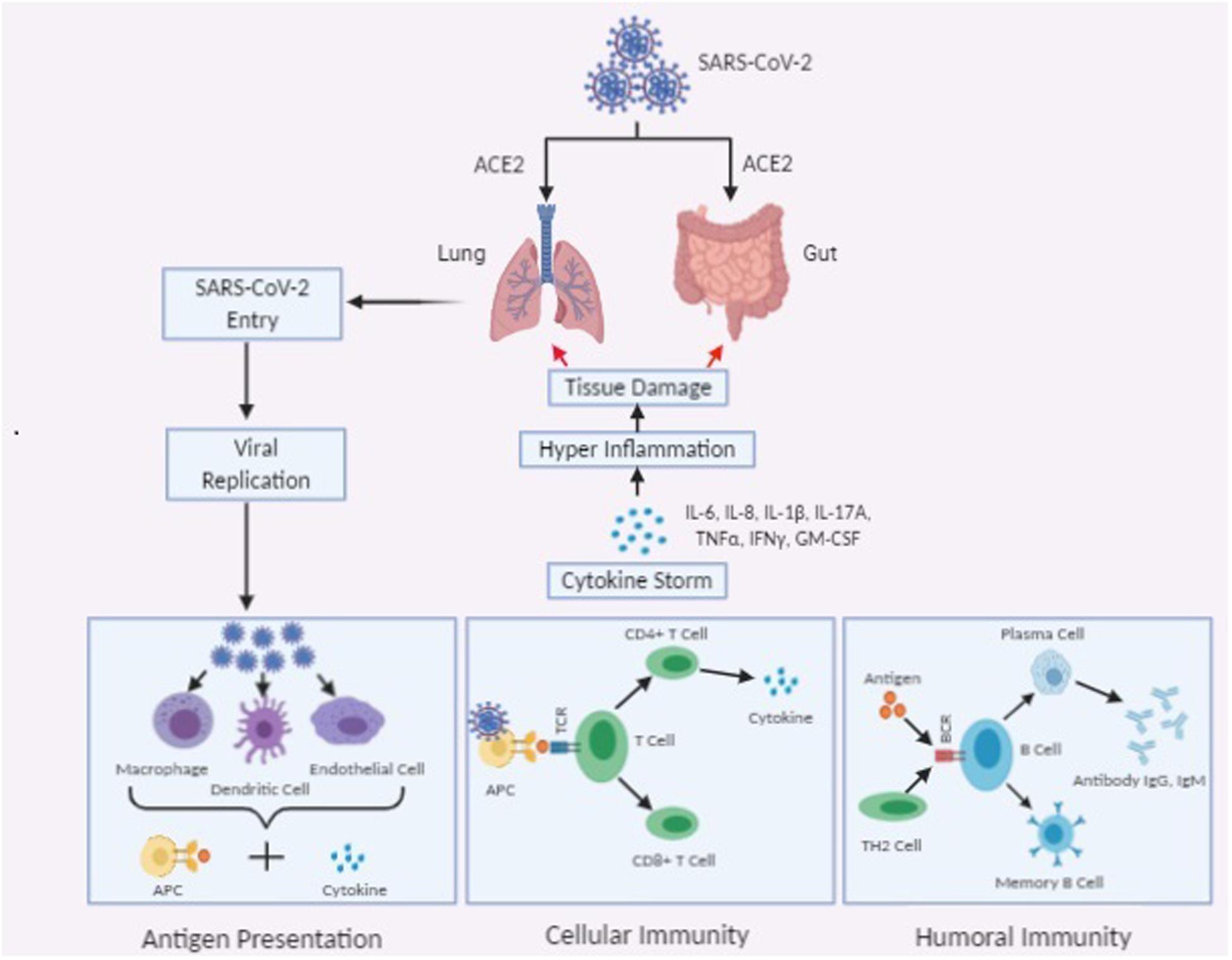 wallpapers Cytokine Storm In Covid 19 Pathogenesis frontiers