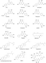 A new rumor claims that paxlovid, pfizer's covid drug,. Frontiers Current Prevention Of Covid 19 Natural Products And Herbal Medicine Pharmacology