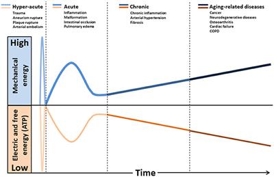 Frontiers Toward A Reasoned Classification Of Diseases
