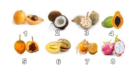 Laurent bonherbe, elyane thuillier, jacques dupuy, pierre. 51 Fruits Exotiques Du Monde Entier Avec Images