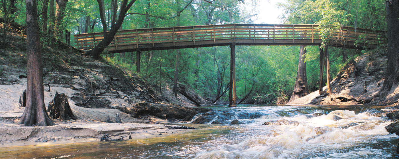 Welcome to florida's nature coast, where you'll discover the real florida. North Central Florida Archives Florida Rv Trade Associationflorida Rv Trade Association