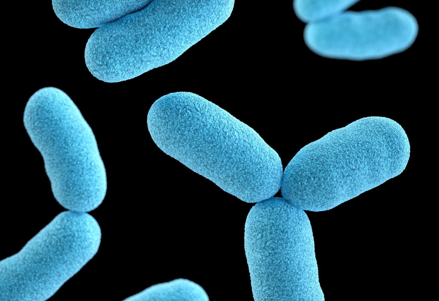 Gastrointestinal illness and kidney failure. Increasing Bio Content In Fuels Exacerbating Microbial Contamination F L Asia