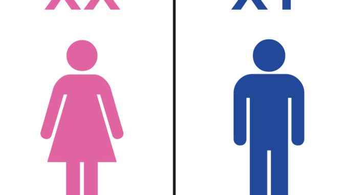 xx-and-xy-chromosomes