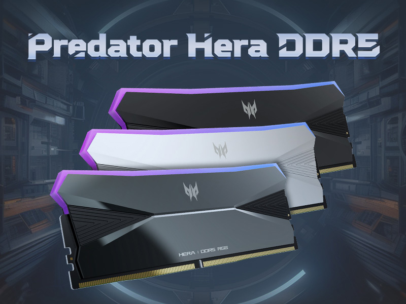 Predator HERA RGB 32GB DDR5-8000 Memory Kit Review - Funky Kit