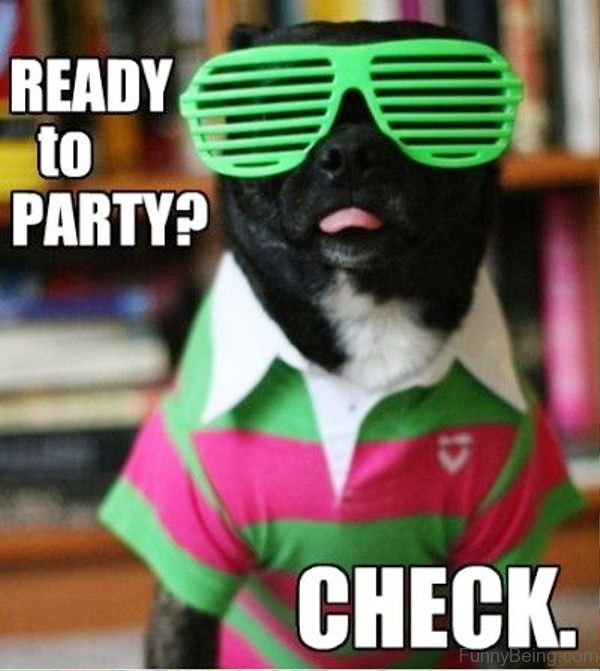 Maybe a lot — if information truly evolves the same way life does, we’re headed toward a brave new world of marketing. 50 Most Funny Party Memes