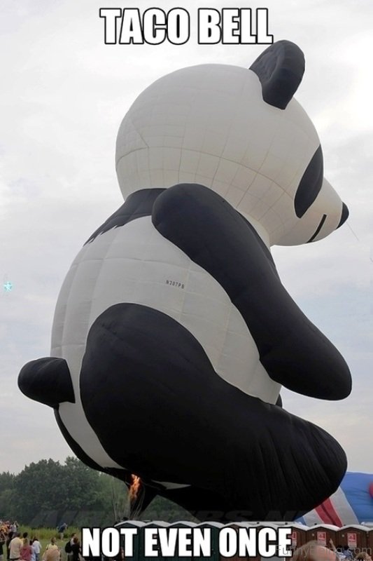 The new items prominently feature sunrise fa. 84 Stupid Panda Memes