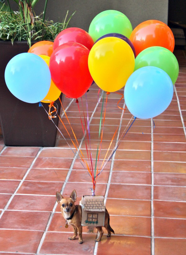UP