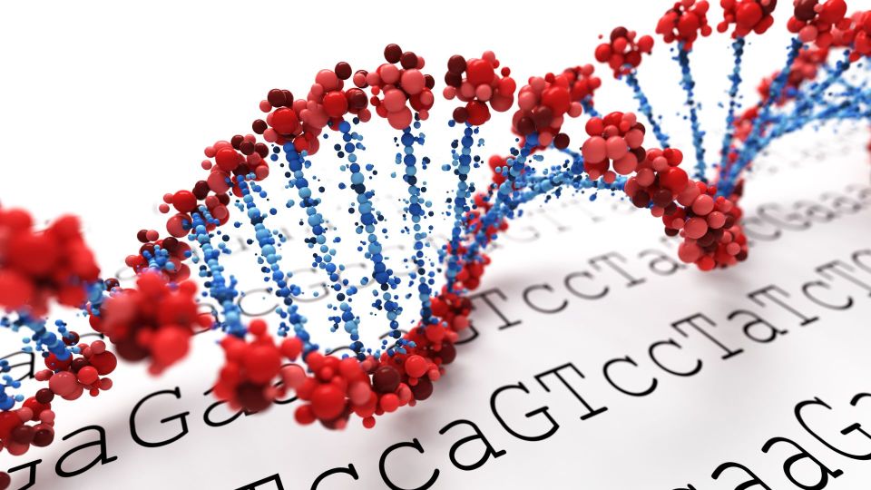 Unveiling Alien Secrets: The DNA Mystery