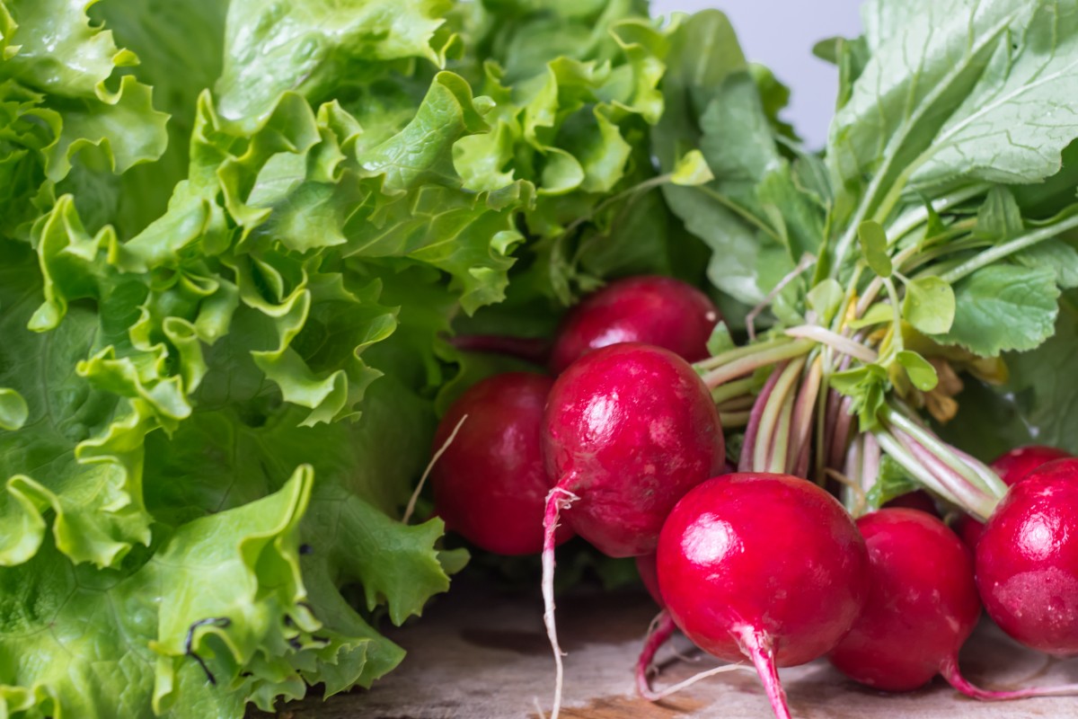 Diet After Gallbladder Surgery Gallbladder Attack