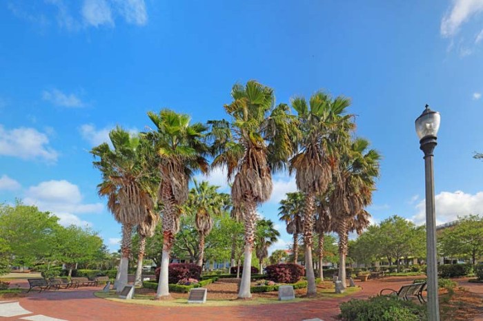 H and r palmetto