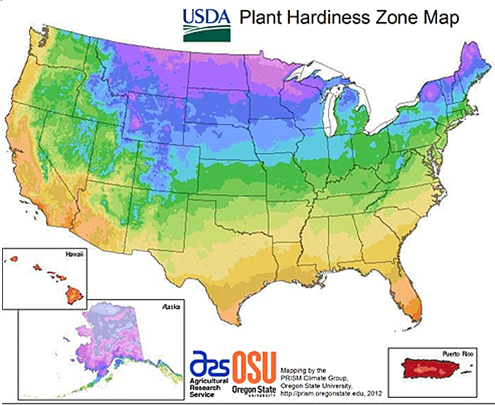 It is amazing for curious children and adults alike to watch seeds in their garden grow and then nurture them i What Planting Zone Do I Live In Learn What The Usda Planting Zones Are For Your Area