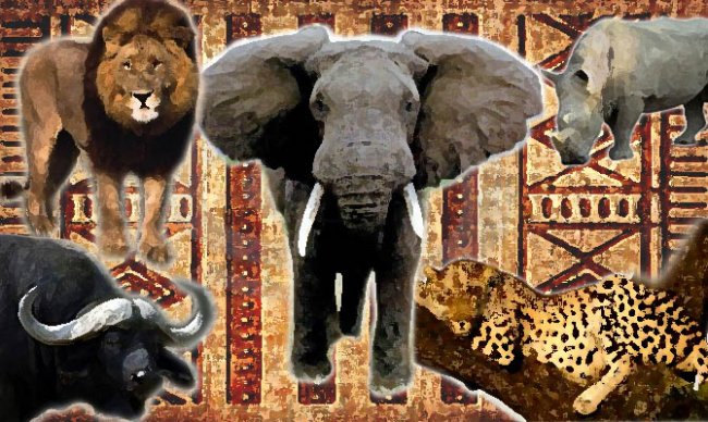 South African Wildlife Plants Animals