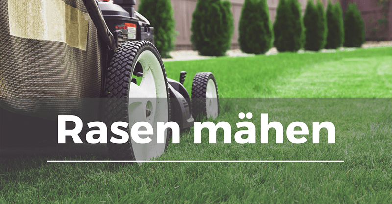 Women's health magazine shares four abs for a flat belly, at womenshealthmag.com women's health may earn commission from the links on this page, but we only feature products we believe in. Ab wann kann man rasen mÃ¤hen | RasenmÃ¤hen: Die