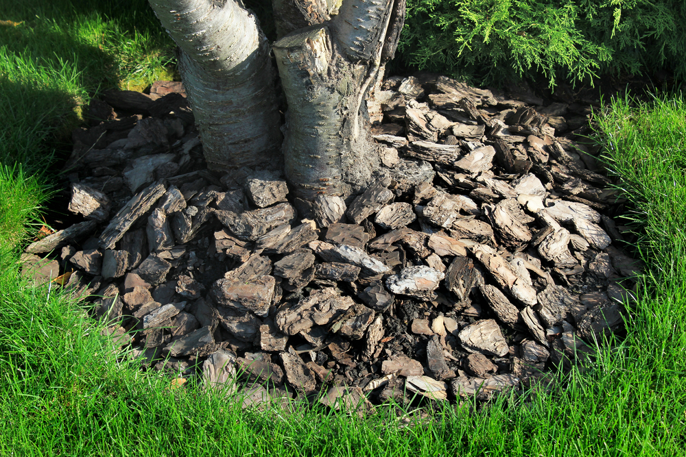 L Talawa Wurzel Masse 41x28x29 Nr 6642 Aquarium Wurzel Holz Dekoration Echtholz Gross Deko Verzweigte Wurzel Stelzwurzel Moorwurzel Top Amazon De Haustier