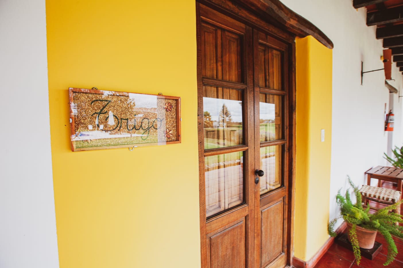 WhatsApp Image 2022-06-15 at 10.05.15 AM