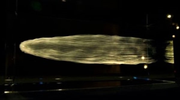 Model komety Halleya/ fot. Ivar Inkapööl