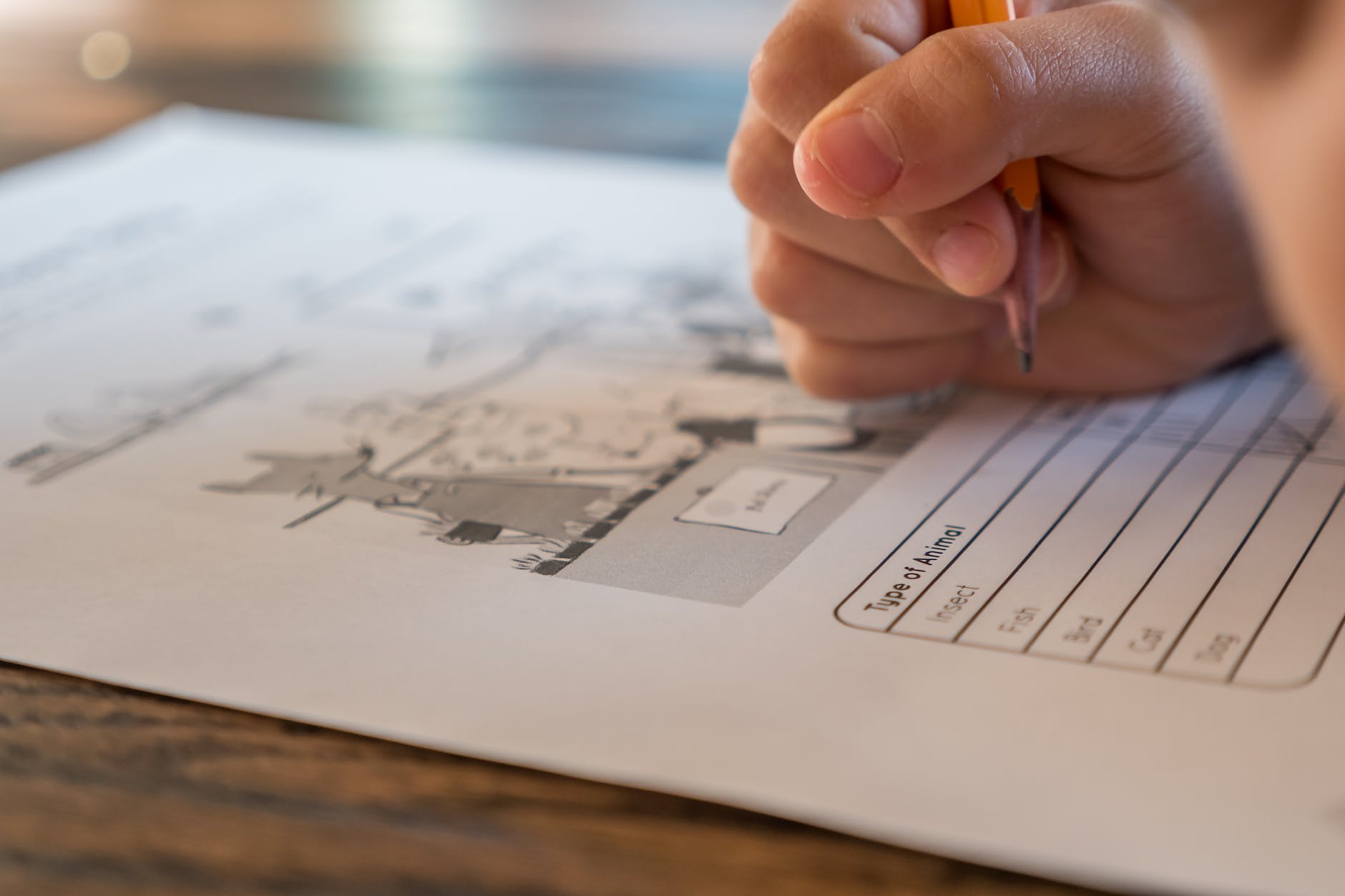What is the 11 Plus - what you need to know if you live in Norwood, Lewisham, Thornton Heath, Beckenham or Bromley Joycellyn Akuffo schoolchild solving elementary science test
