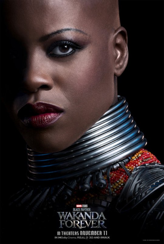 Black panther: wakanda forever movie watch – news and insider info on the black panther: wakanda forever movie (november 11, 2022). 6 895B31E6 E140 4A6D B2D9 14DA04A4890A