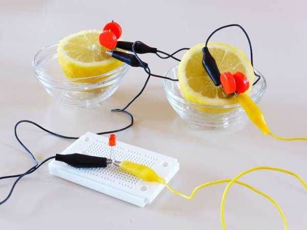 Lemon battery experiment