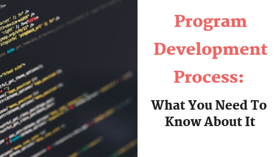 Program development process: what you need to know about it