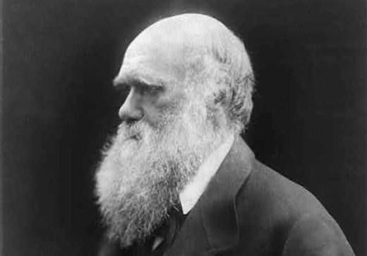 Profile of the Day: Charles Darwin