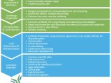 Drug Development Process Overview