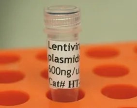 Lentiviral Packaging Plasmids
