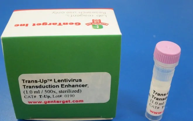 Lentivirus Transduction Enhancer (Trans-Up™)