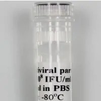 Human EGFR-2A-GFP Co-expression Lentivirus