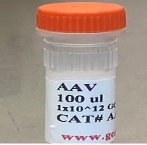 AAV-SaCas9 (CMV), Serotype 9