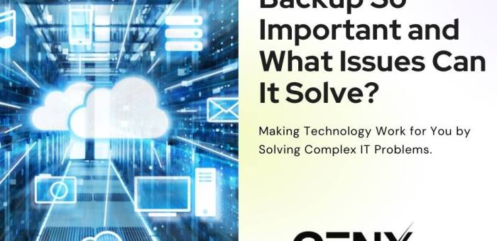 Why Is Data Backup So Important and What Issues Can It Solve?