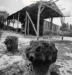Carpinteria De Ribera