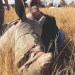 What it’s like to witness a rhino dehorning What it’s like to witness a rhino dehorning