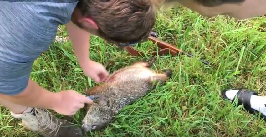 Watch backyard ideas from hgtv craftsman style backyard makeover 02:59 craftsman style backyard makeover 02:59 a family's backyard gets a makeover to entertain guests. What are some ways to kill a groundhog in the yard?