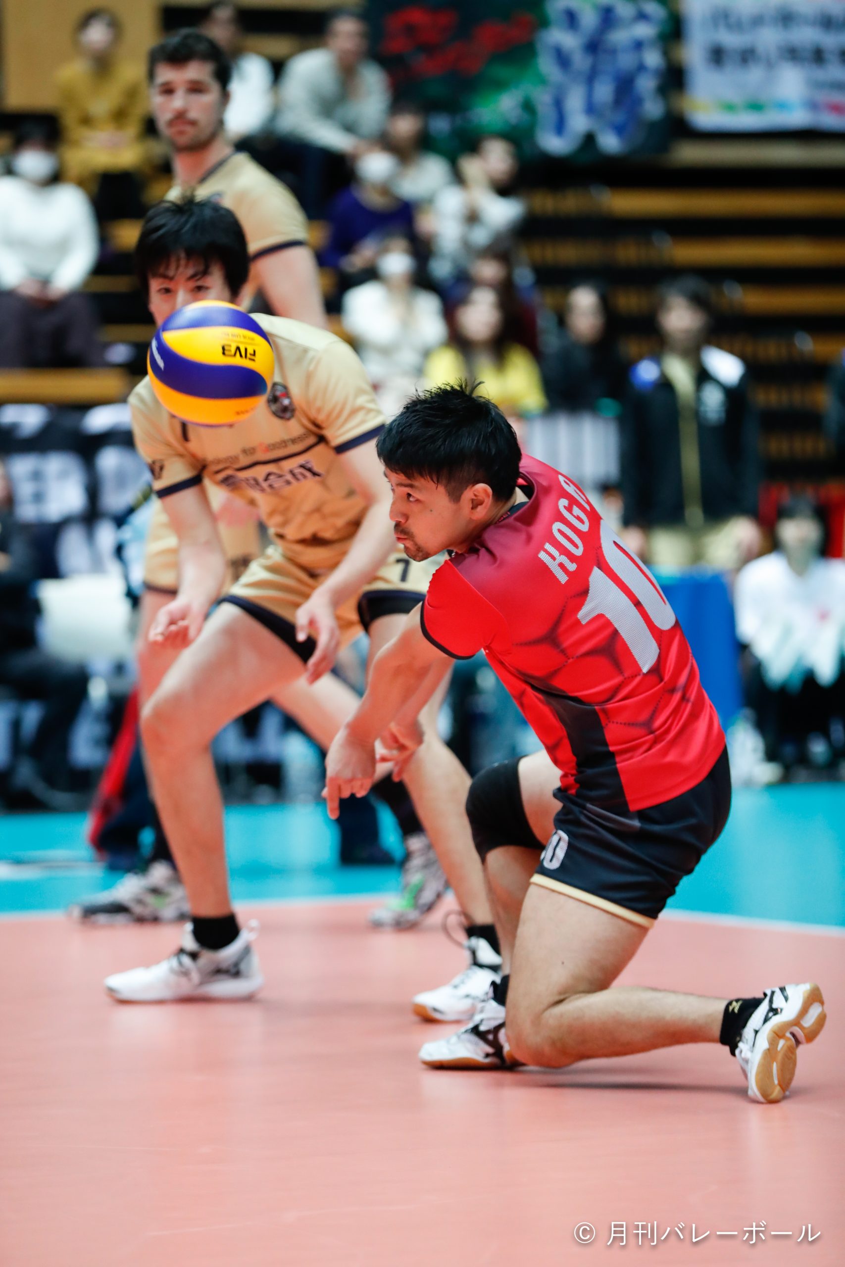 セイバー -妄想メイドVer 箱無し 16/17 Vリーグ男子☆直筆サイン生写真☆豊田合成/古賀幸一郎
