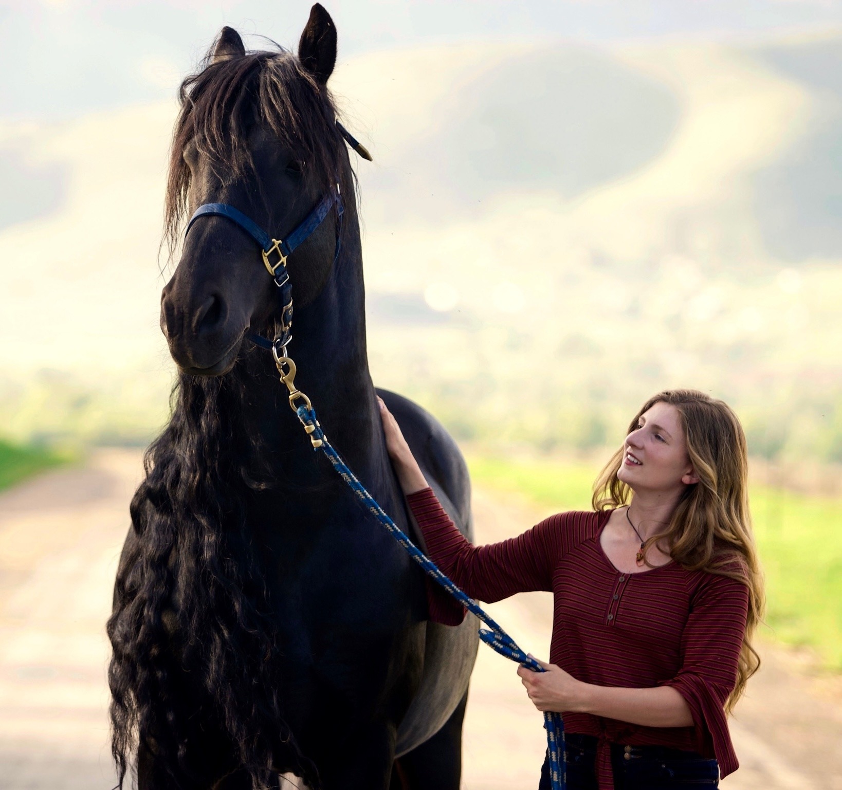 Meet Gingr Burlington - Elegant Space Design - Retina