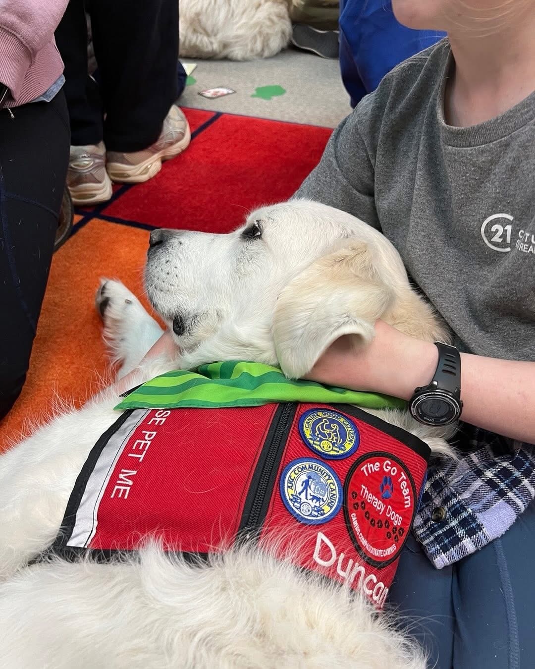 National Therapy Animal Day The Role Of Therapy Dogs Image 2 