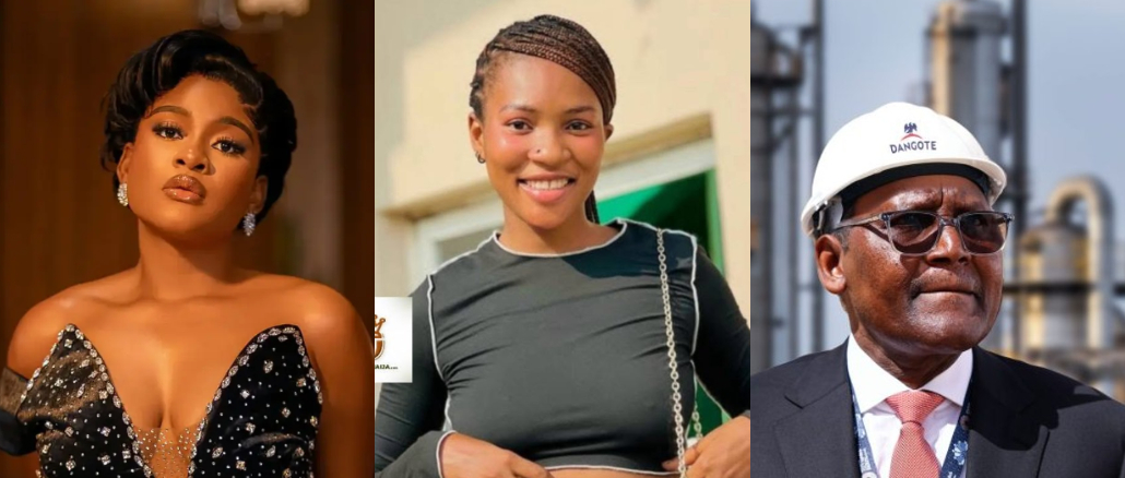 Phyna Accuses Dangote Of Causing Sister’s Death