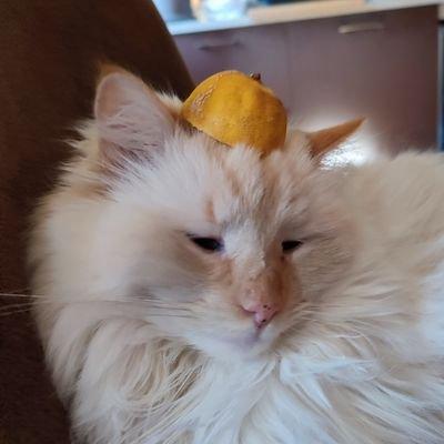 Scarlett C Github - Mountain Wallpapers - Ultra HD Retina Collection