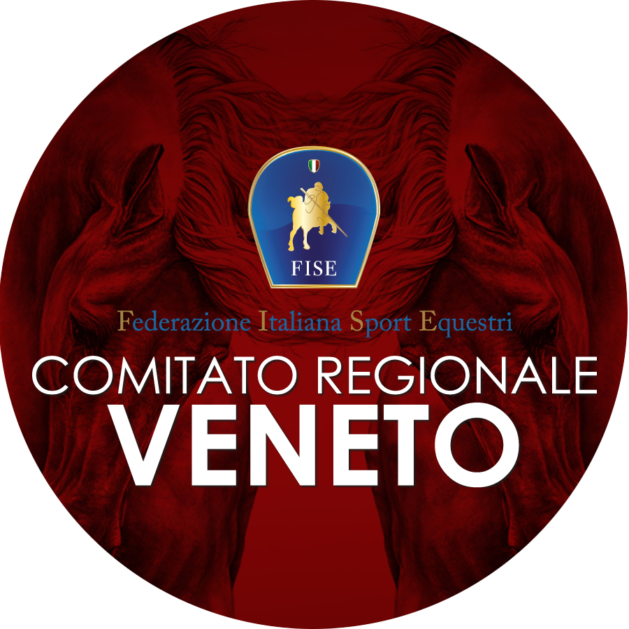 www.fise.it/veneto/it