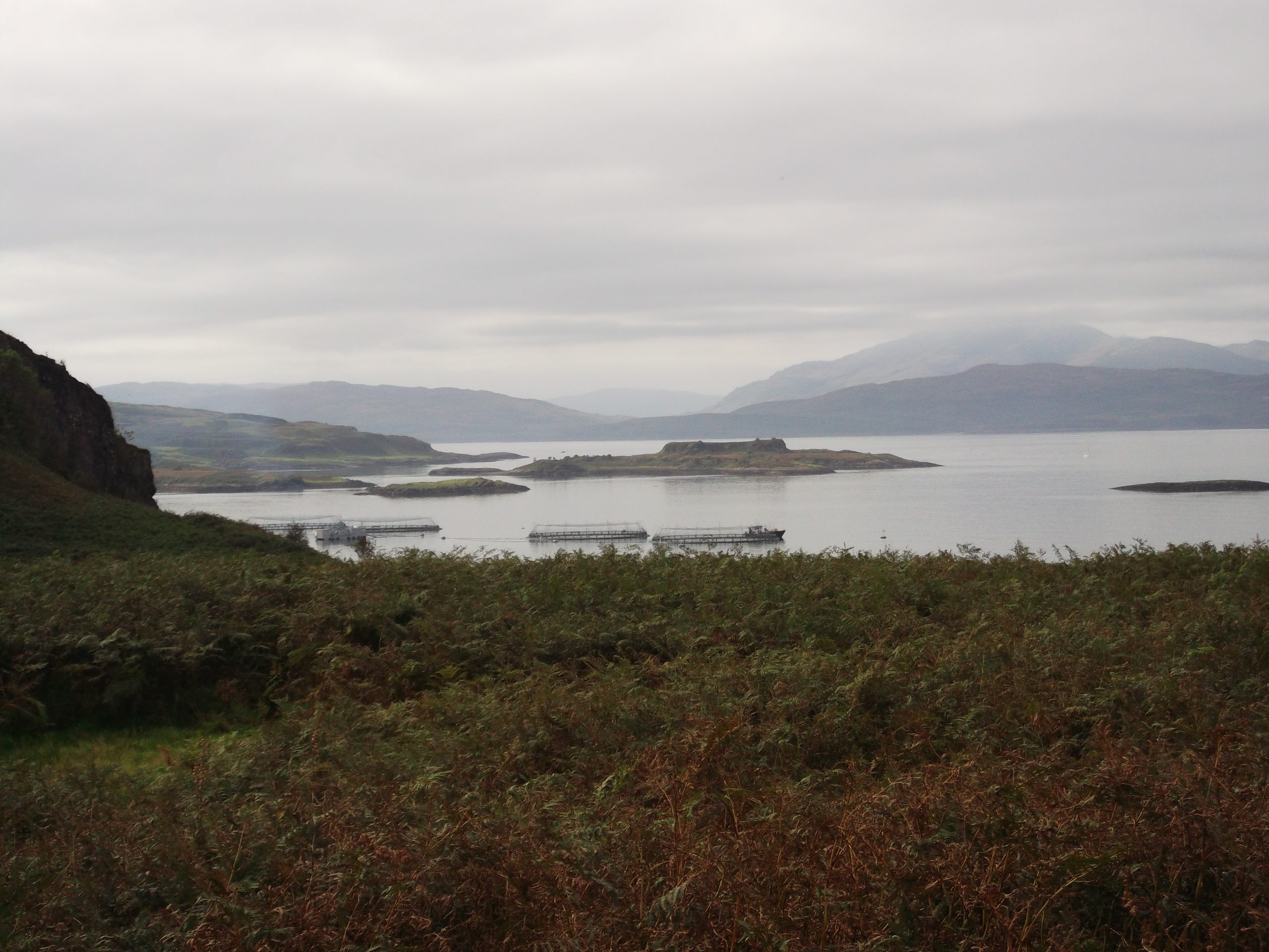View to the West from Hutcheson's Monument