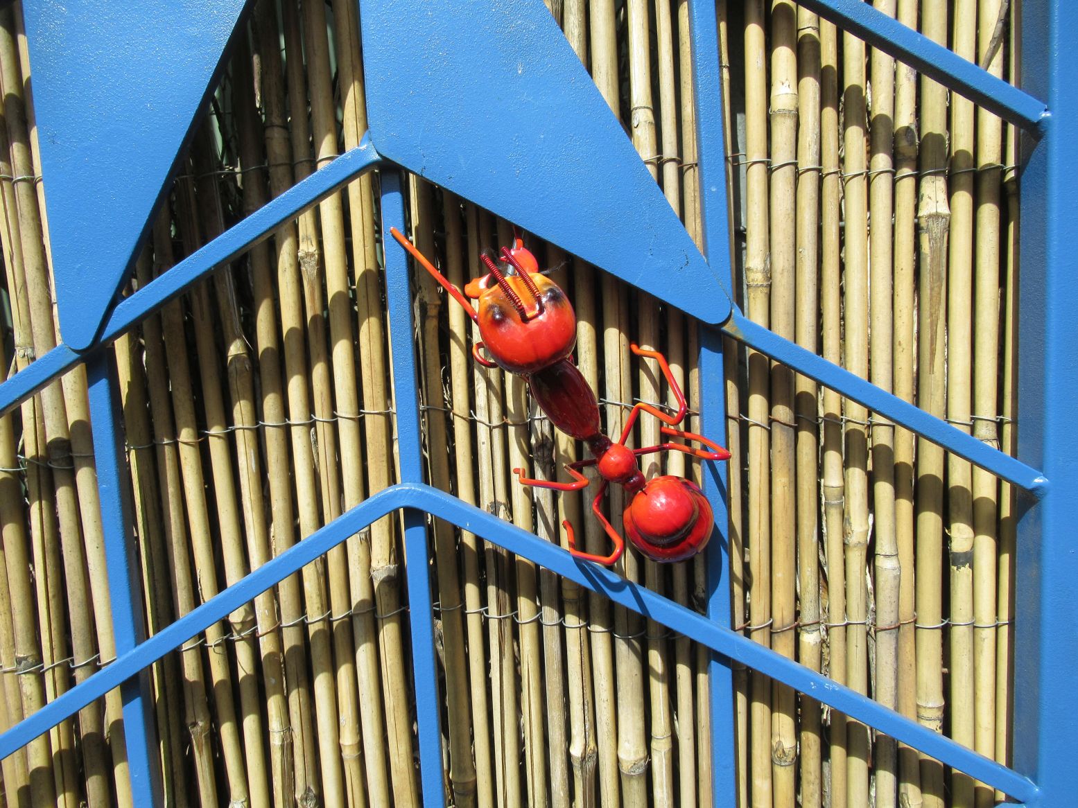 Ant_1